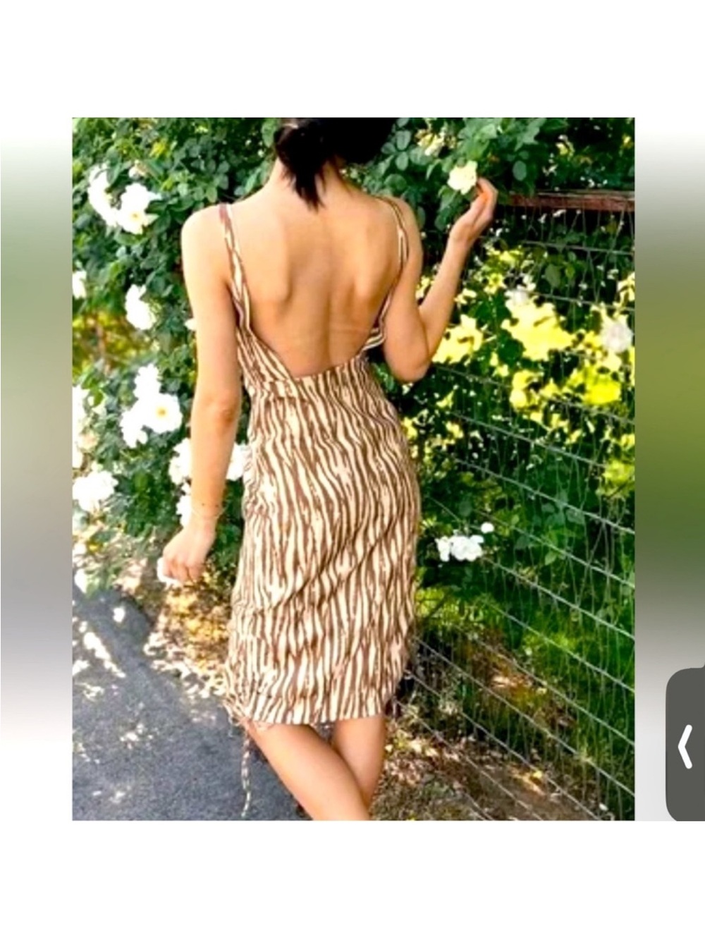 Backyard Roses Zebra Print Midi Dress S NWT Adjustable Ruched Hem - Picture 2 of 12